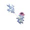 Vintage Peony Embroidery Patch 9 x 4.50 Inch Floral Applique for Garments